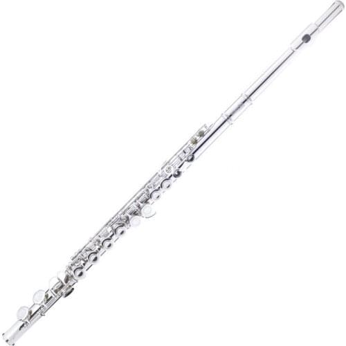 Brand New C Tune Flute Nickel Plated 16 Keys Closed Holes Musical Instrument With E Key Case Free Shipping
