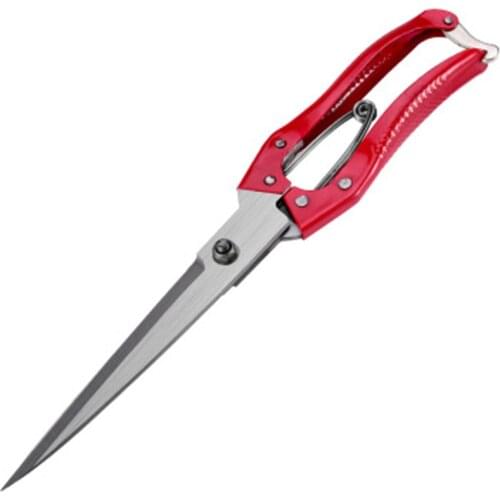 Ifu Scissors