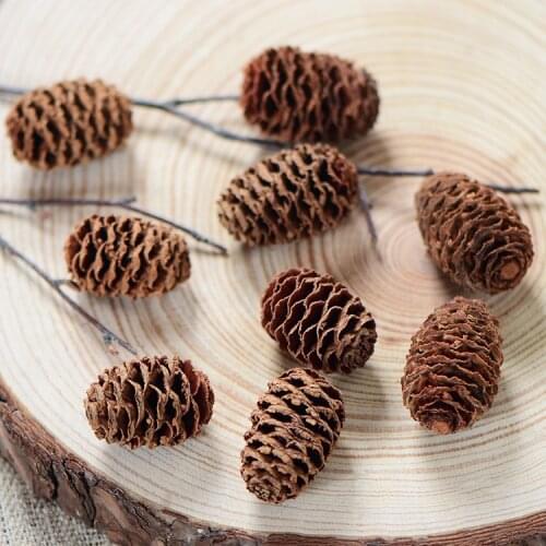 60pcs/3-4cm,Natural Real Dried Pineal fruit,Eternal plant DIY party Gift box,Decorative flower materials for Xmas Decorations