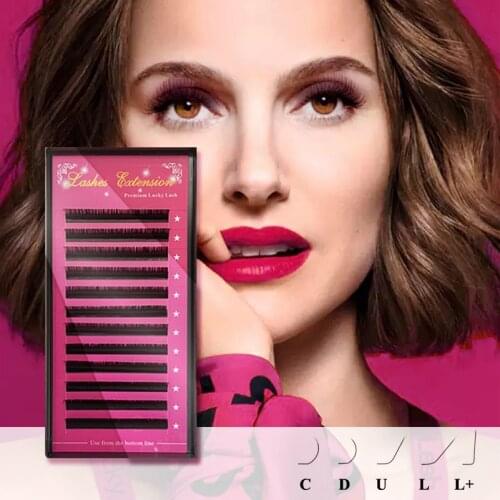 Premium Eyelash Extension 12 Lines Silk Cilia SIlk Soft Individual Eye Lash Extensions C/D/L/LD/LU/LC Curl False Lashes