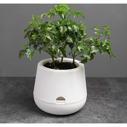 White Hydroponic Flowerpot Home Office Desk Flower Pot Green plants Self-watering System Home Office Desk Decoration