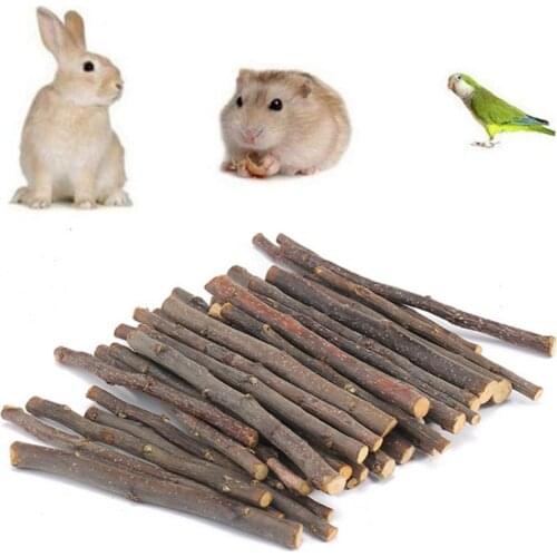 20/40/60Pcs Chew Stick Apple Tree Branch Hamster Squirrel Natural rich taste Toys Parrots Rabbits Pet Bunny Hamster Wood Toys