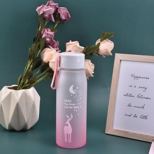 560Ml Water Bottle Leak Proof Biking Travel Portable Animal Drinking Bottles