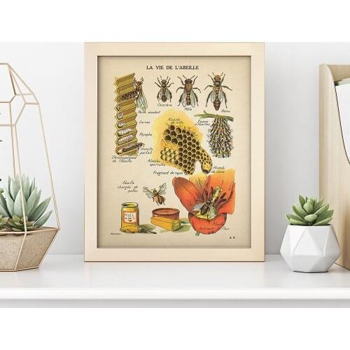 Antique Bees Natural Prints Poster Insects Vintage French Honey Bee Wall Art Canvas Painting Sepia Toned Bee Diagram Wall Decor