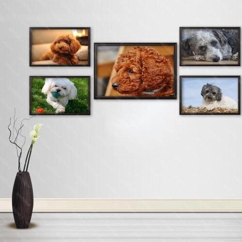 Poodle Dog Posters Wall Art Decor Picture Modern Home Room Decoration Quality Canvas Painting Customizable 30x45cm,40x60cm