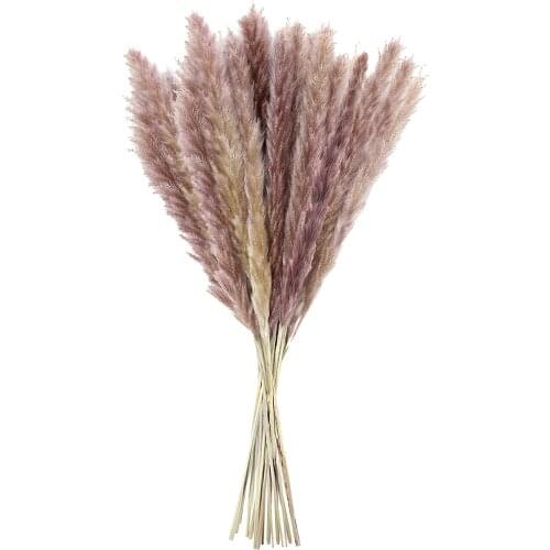 Wedding Decoration Pampas Grass Dried Dried Flowers Decoration 15 PCS Vases Dried Flowers 44cm Bouquet Boho Decoration