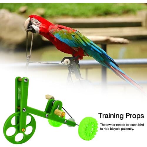 Interesting Parrot Training Toy Props Mini Bicycle Toy Bird Training Supplies Plaything Suitable For Parrot Birds