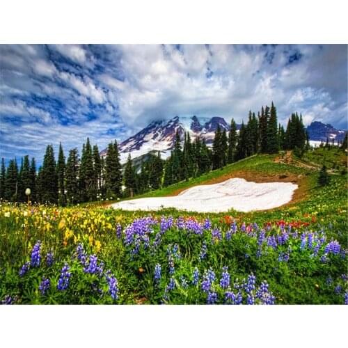 Flower Landscape DIY 11CT Embroidery Cross Stitch Kits Craft Needlework Set Cotton Thread Printed Canvas Home Room