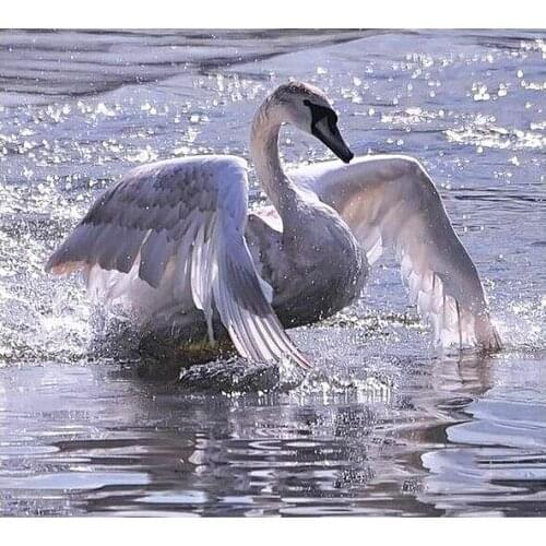 NEW Counted Cross Stitch Kits Needlework Embroidery - 14 ct Aida DMC Color DIY Arts Home Decor - Animals 2