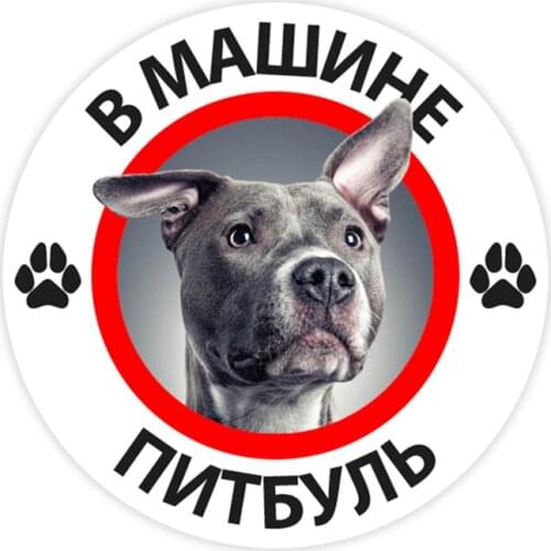 B0278# 10/13/15 cm Pitbull in the Car Self-adhesive Decal Car Sticker Waterproof Auto Decors on Bumper Rear Window