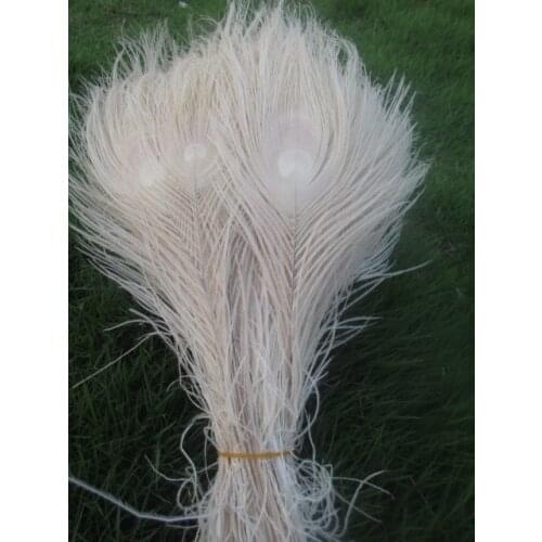 Wholesale! Beautiful white peacock eye feathers 10 pcs 25-30 cm / 10-12 inches decoration celebration