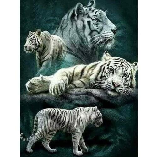 Diy Diamond Painting Cross Stitch Kits 5D Diamond Embroidery Animal white tiger Home Decor Full Square Diamond Mosaic Pictures