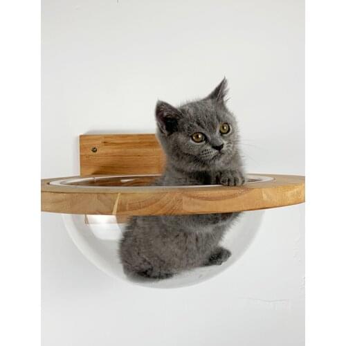Pet Furniture Cat Wall House Wall-mounted Transparent Space Capsule Cat Tree Wooden Cat Climbing Frame Kitten Bed Springboard