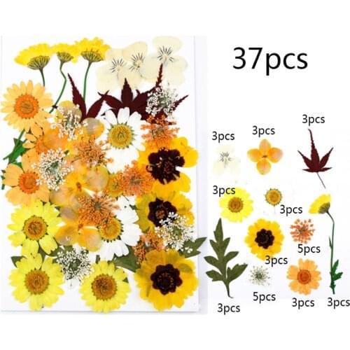 1 Pack Dried Flowers UV Resin Decorative Natural Flower Stickers 3D Dry Beauty Decal Epoxy Mold DIY Filling Accessories