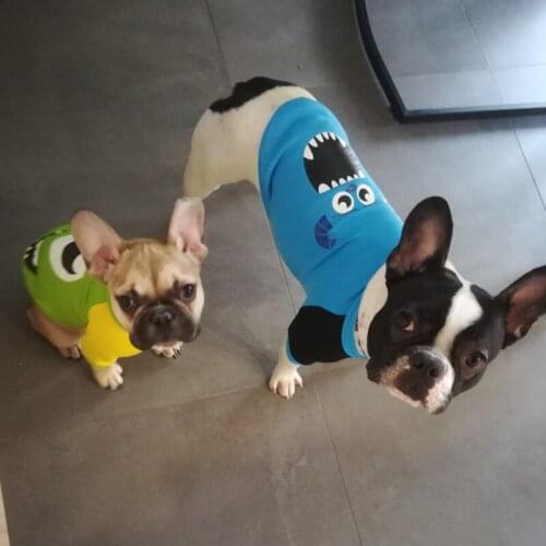 Small Dogs French Bulldog Pug Coat Jacket Dogs Pets Clothing Suit Cartoon Puppy Dog Cat Hoodie Sweatshirt Winter Pet Clothes