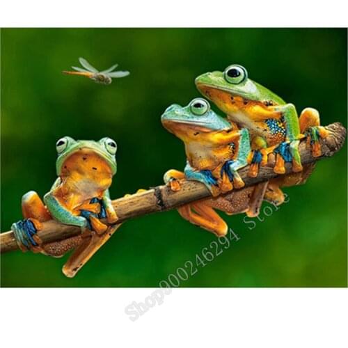 5D DIY Diamond Embroidery animal three frog Diamond Painting SquareRound Cross Stitch Diamond Mosaic Rhinstone pictures FF2191