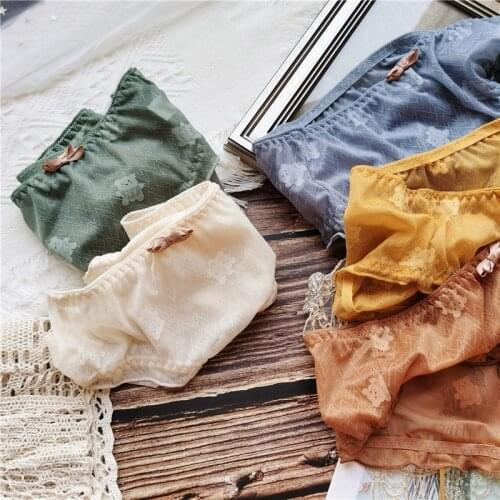 New Womens Underwear Sexy Lace Panties Fashion Invisible Cartoon Briefs Low Waist Seamless Comfort Underpants Female Lingerie