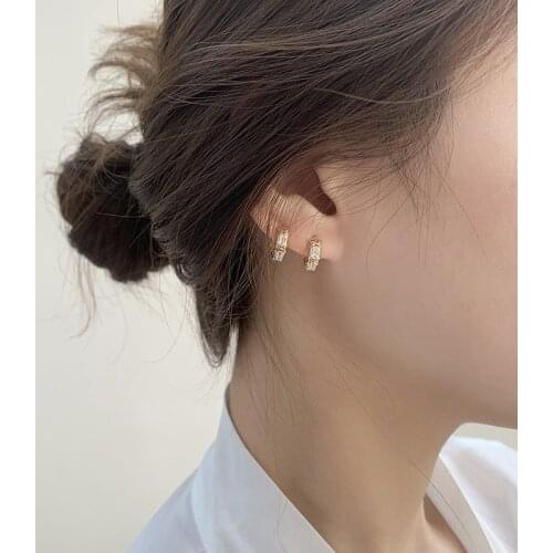 925 sterling silver earring fashion zircon delicate two-color ear ring ear bone ear buckle INS style wild woman girl ear jewelry