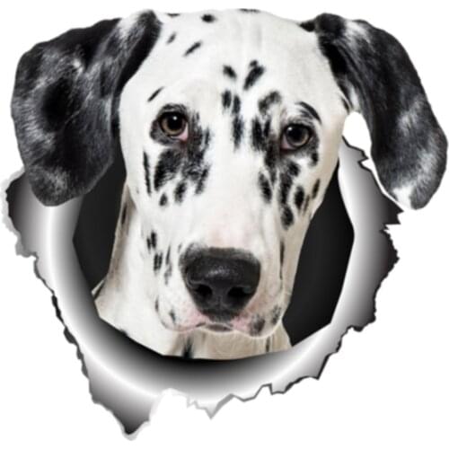 Personality Dalmatian Pet Dog Car Sticke Vinyl Waterproof Car Window High Quality Accessories Cover Scratches PVC 13cm X 13cm