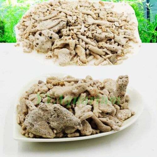 Женская одежда FISH GUARD China At AliExpress