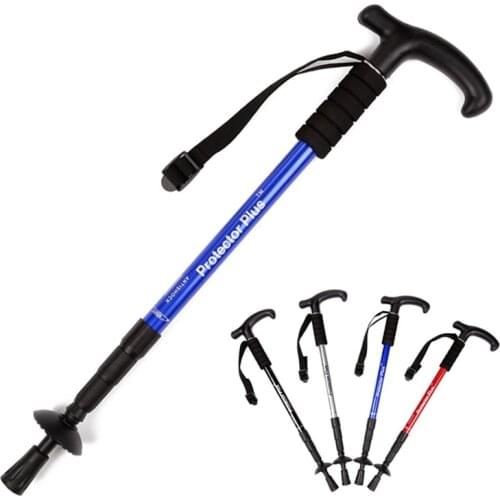 CQC Nordic Walking Sticks