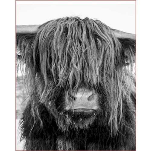 Cattle Paint No Numbers For Painting Adults Animal Unframed On Canvas Digital Coloring Drawing By Numbers Oil Picture Decoration