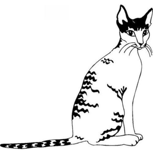 Car Stickers Cornish Rex Cat Fashion PVC Car Decoration Accessories Decals Creative Waterproof Sunscreen Black/white,14cm*13cm