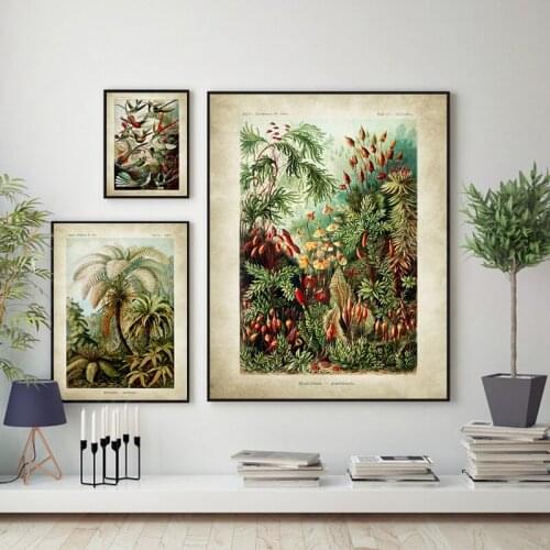 Vintage Ernst Haeckel Biology Poster Hummingbird Palm Tree Animals Art Prints Plant Canvas Painting Office Home Wall Art Decor