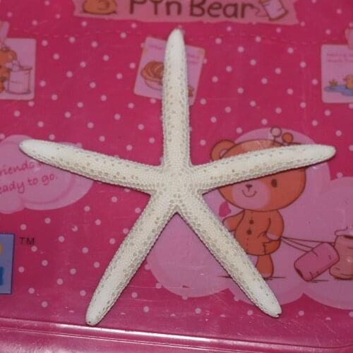 Natural Artificial Starfish Platform 5pcs/lot Real sea Finger Starfish weddings party home decoration 6-8cm