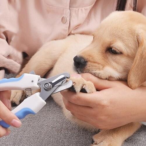 Professional Pet Nail Clipper Scissors Pedicure Pet Dog Cat Nail Toe Claw Clippers Scissor LED Light Nail Trimmer For Animals