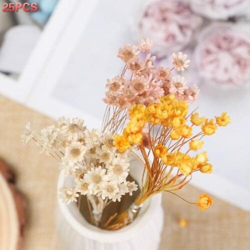 25pcs Colorful Dried Flowers For DIY Art Craft Epoxy Resin Candle Making Jewellery Glass cover ball filler Dried Flowers Accesso