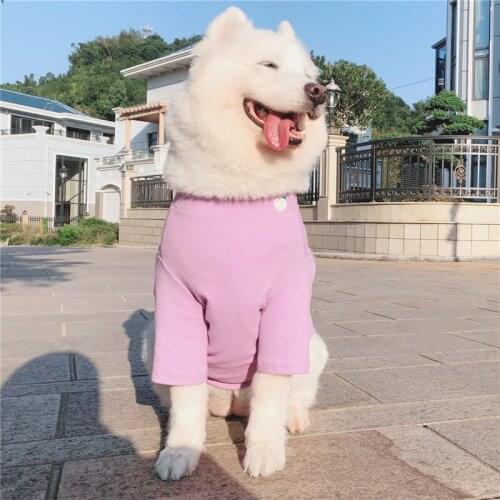 Giant Dogs Clothing Embroidered Fruit Pattern Shirt For Labrador Poodle Retriever