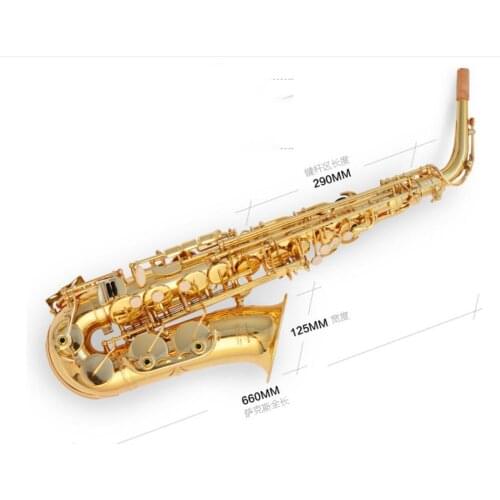 Brand New Alto Saxophone Eb Tune E Flat Lacquered Sax Professional Musical Instrument With Case Free Shipping