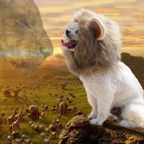 Dog Accessories Dog Hat Pet Halloween Funny Costume Headdress Puppy Fall Winter Warm Hat Cat Plush Pet Cap For Chihuahua