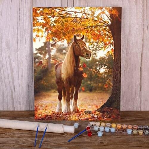 Horse Landscape Animal Coloring By Numbers Painting Set Oil Paints 50*70 Oil Painting Wall Decoration For Handiwork