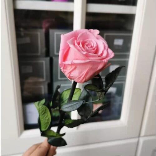 4-5CM/28cm,Natural Preserved Rose flower with stem,Real Eternal display rose for Wedding Party home Decoration,Mothers Day Gift