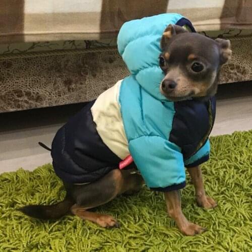 Waterproof Dog Down Jacket Winter Warm Dog Puppy Clothes for Small MediumDogs French Bulldog Pug Hooded Coat Pets Clothing