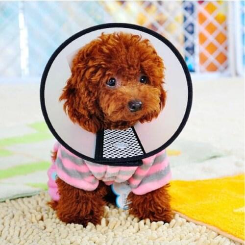 Pet Dog Cat Collars Wound Healing Remedy Recovery Animal Protective Products Cone E- Collar For Pets Supplies Cats Accessories