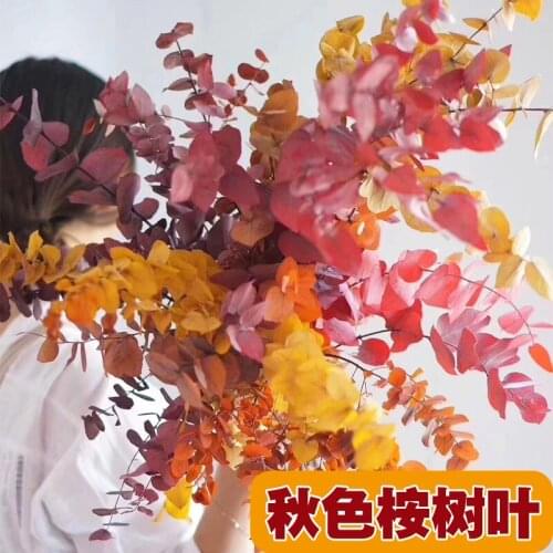 Autumn Eucalyptus Leaves Eternal Flowers with Leaves Bouquet Home Vase Flower Eucalyptus Leaves Photo Props