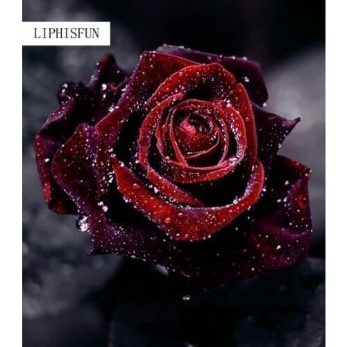 5D Diy Diamond Painting Handmade Flower Rose Diamond Cross Stitch Resin Square Rhinestones Embroidery Home Decor