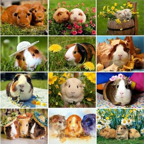 HUACAN 5D Diamond Painting Guinea Pig Full Square Rhinestone Kit Diamond Embroidery Animal Mosaic Cross Stitch Handmade Gift