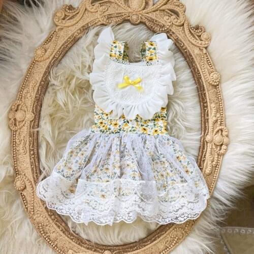 Lace Princess Dress Pet Dog Chihuahua Miniature Pinscher Pomeranian Yorkshire Puppy Costume Poodle Bichon Schnauzer Clothing