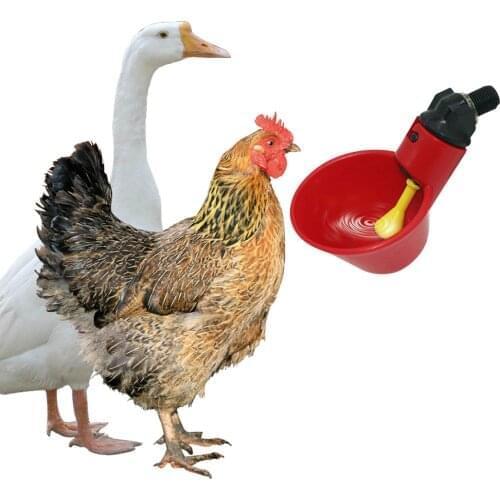 Chicken Waterer Drinkers Poultry Water Drinking Cups- Chicken Hen Plastic Automatic Drinker Birds Drinking Bowls Water