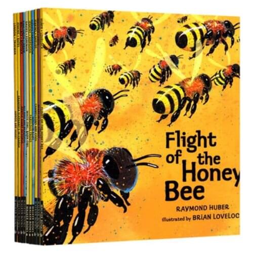 5-12 year Childrens English story book Nature Story Books english picture book help child be reader early education 20pc/set