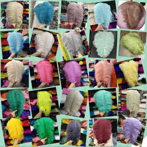 Multicolor Wholesale 500pcs Ostrich Feathers 30-35cm/12-14 inch Wedding Party Christmas Home Craft Accessories Decoration