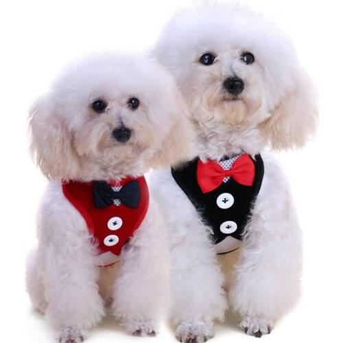 Cute Bowknot Cat Dog Harness Nylon Vest with Leash Bowtie Adjustable Suit Tuxedo Cat Harness Leash Set For Cats Puppy