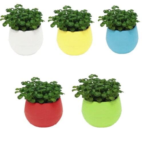 1Pcs Colourful Mini Round Plastic Planters Flower Pot Garden Decor Planter 5 Colors Pot Vase