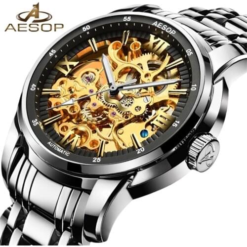 AESOP Classic Series Golden Movement Inside Silver Stainless Steel Mens Skeleton Watch Top Brand Luxury Fashion Automatic Watch