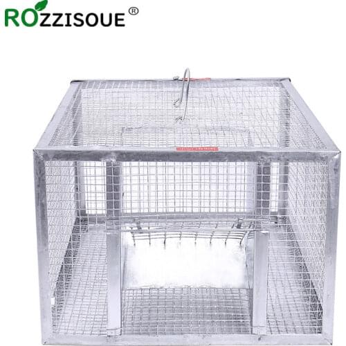 Rozzisoue Rodent Traps