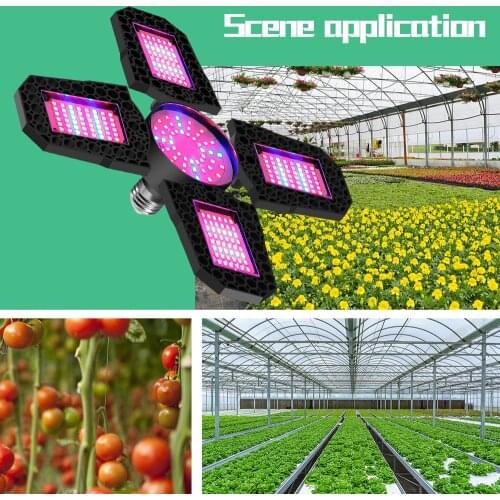 Лампы для растений LIPYAO China At AliExpress